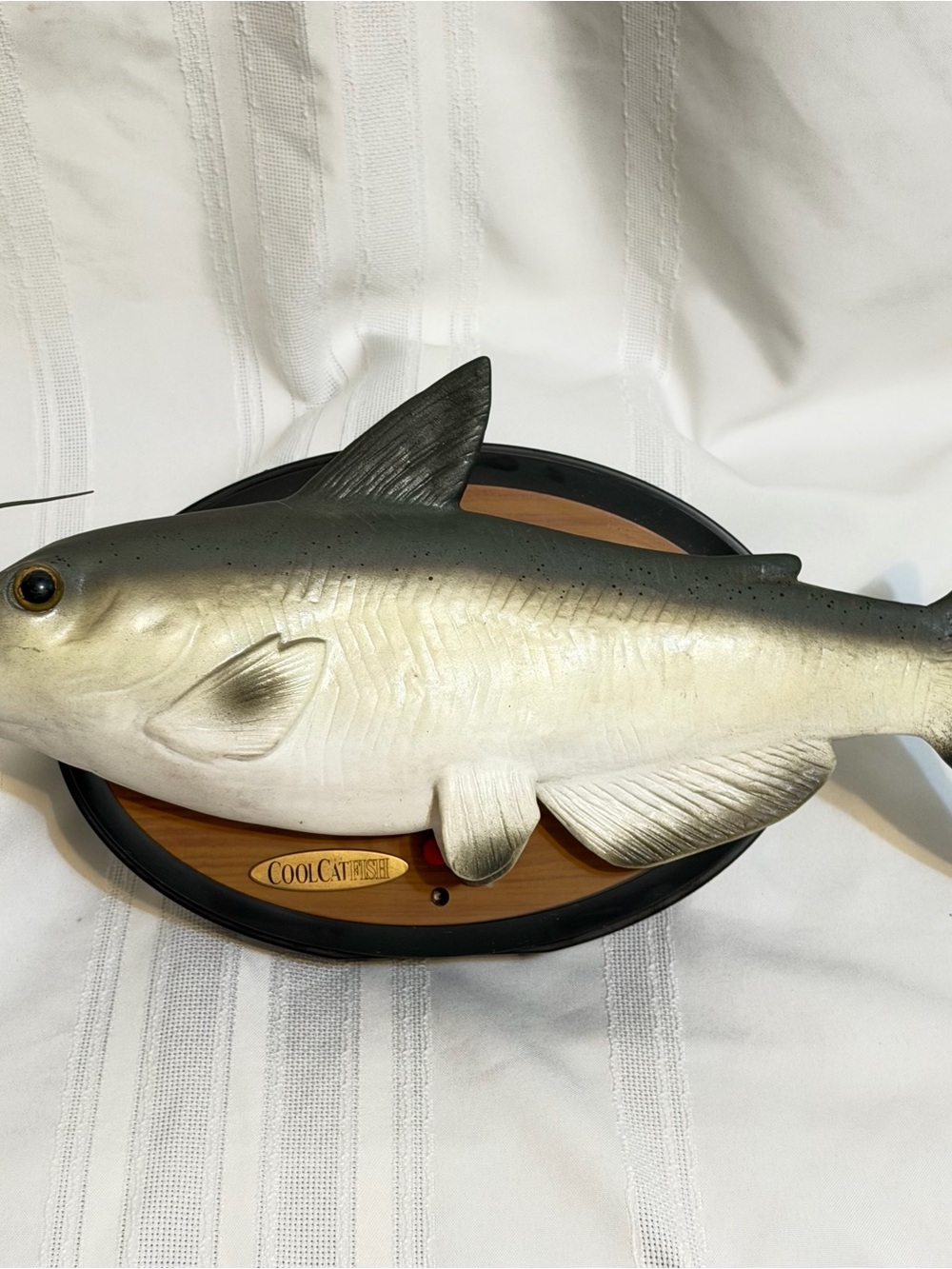 Cool Cat Fish Animated Singing Talking Catfish Billy Bass - Sound No Movement